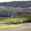 Paisaje Congosto de Valdavia