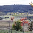 Paisaje Congosto de Valdavia