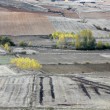 Paisaje Congosto de Valdavia
